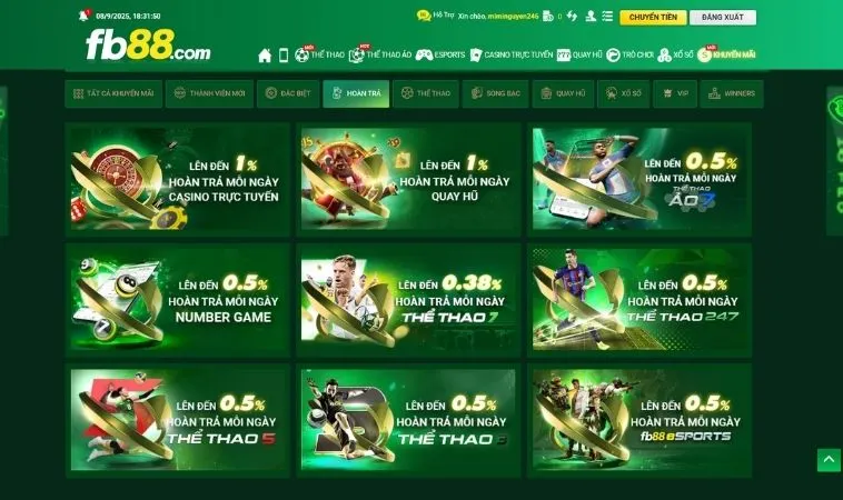 Các chương trình hoàn trả không giới hạn FB88